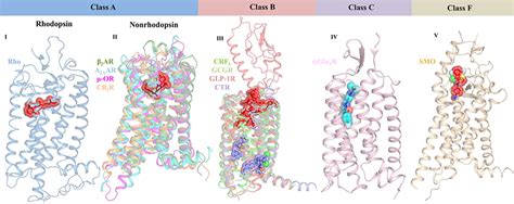 Frontiers Exploring G Protein Coupled Receptors Gpcrs Ligand Space
