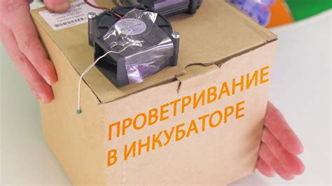 ШКОЛА ИНКУБАТОРОСТРОЕНИЯ №8 (проветривание и вентиляция в инкубаторе ...