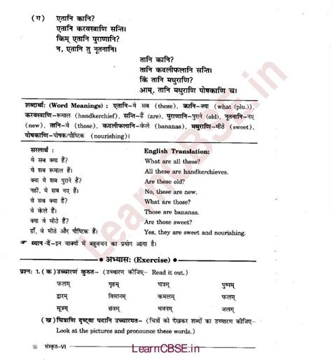 Ncert Solutions For Class 6th Sanskrit Chapter 3 अकारान्त नपुंसकलिंग