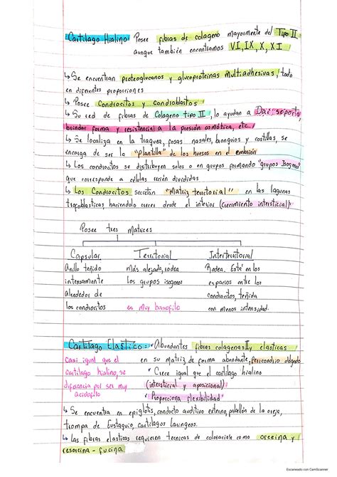 Solution Tejido Conjuntuivo Tejido Sanguineo Y Tejido Muscular