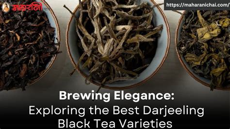 Brewing Elegance Exploring The Best Darjeeling Black Tea Varieties