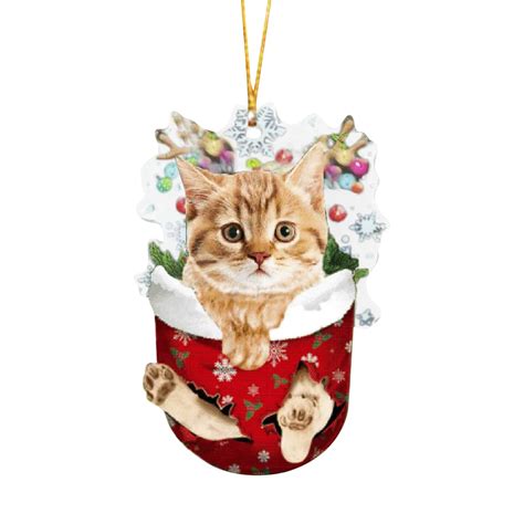 Gmogad Personalized Ragdoll Cat Cat Ornament, Custom Name Cat Ornament