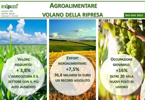 Istat Martina Agroalimentare Volano Della Ripresa Ora Avanti Con