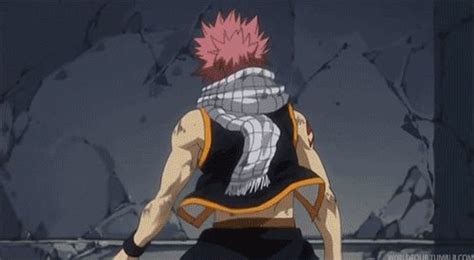 signs      fairy tail wizard  fairy tail fairy