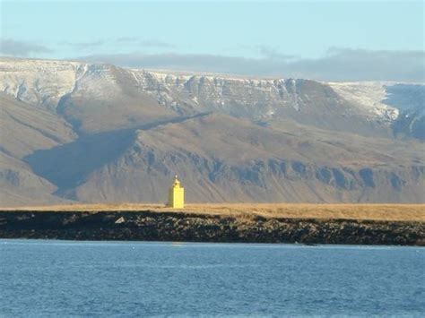 Videy Island Reykjavik All You Need To Know Before You Go