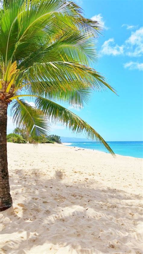 Surf camp in Hawaii on the North Shore of Oahu : r/beach