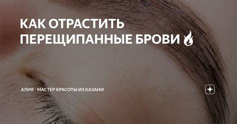 КАК ОТРАСТИТЬ ПЕРЕЩИПАННЫЕ БРОВИ🔥 | Алия - мастер красоты из Казани | Дзен