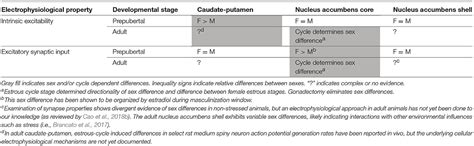 Frontiers Biological Sex Estradiol And Striatal Medium Spiny Neuron
