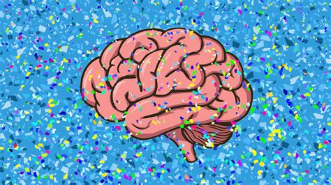 Brains May Hold More Microplastics Than Livers Or Kidneys – What Does ...