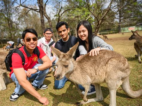 QUT - QUT College for international students