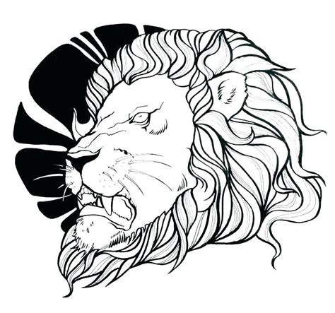 Lion Outline Drawing at PaintingValley.com | Explore collection of Lion ...