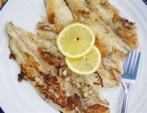 Ikan Dori Cara Merawat Pakan Harga Jual Lengkap