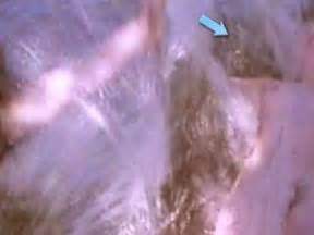 HEATHER WEEKS Nude AZNude