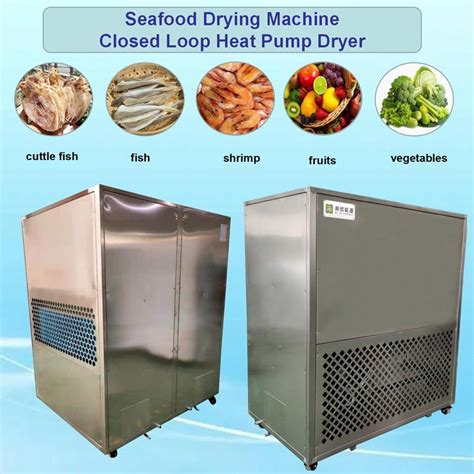 Diye Brand Heat Pump Seafood Oven Professional Hot Air Fish Dryer Cold Air Sea Cucumber