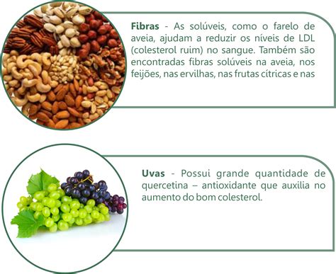 Alimentos Que Ajudam A Diminuir Colesterol - 8