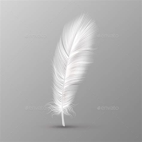 White ostrich feather 14 16 – Artofit
