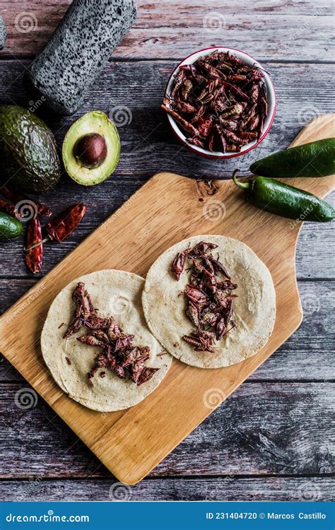 Tacos De Chapulines O Saltamontes Taco Tradicional En Comida Mexicana