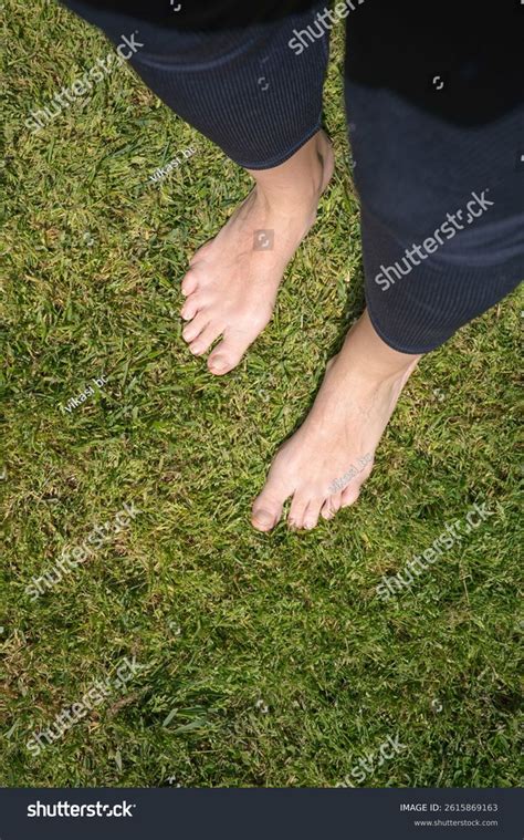 Naked Female Feets On Lawn Stock Photo Shutterstock