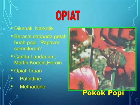 jenis dadah  kesan pptx