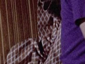 THE LAST AMERICAN VIRGIN NUDE SCENES AZNude