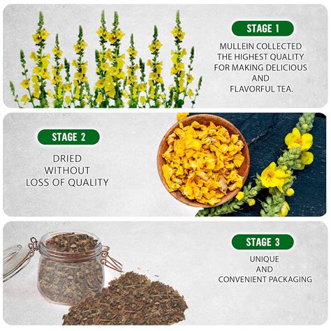 how to make gordolobo tea 5