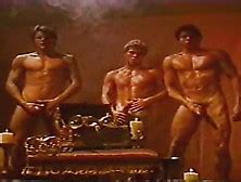 Peter North Gay Tube Search Videos