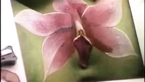 Brazilian Waxing Demonstration Hairy Amateur Porn Xhamster