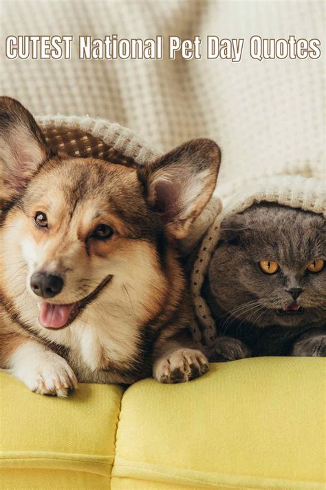 87 Cutest National Pet Day Quotes Darling Quote