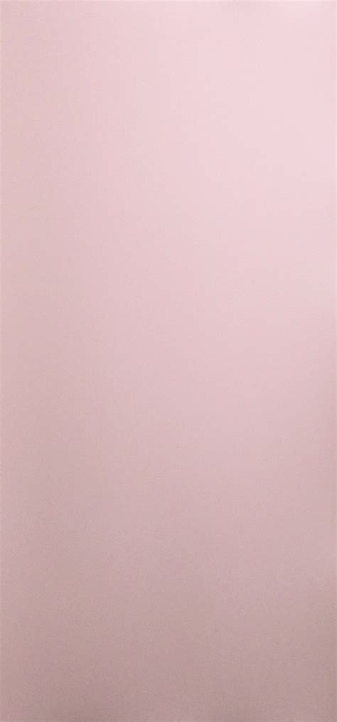Pink - Evershine