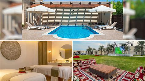 Mostró de más El descuido hot de Sol Pérez durante una transmisión en vivo Infobae