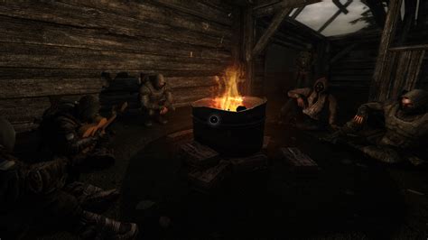 Stalker Campfire Image 100 Rads Bar Mod Db