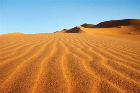 desert | Definition, Climate, Animals, Plants, & Facts | Britannica.com