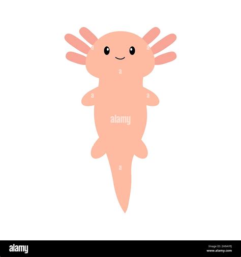 Axolotl Mexican Stock Vector Images Alamy