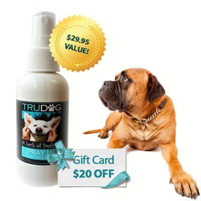 Trudog Spray Me Dog Dental Spray | Dog dental, Raw dog food recipes ...