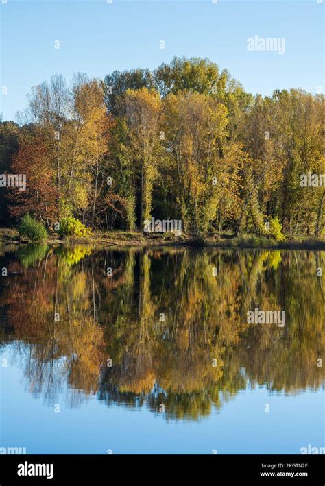 Scenic Autumn Landscape Of Trees With Colorful Fall Foliage Reflection