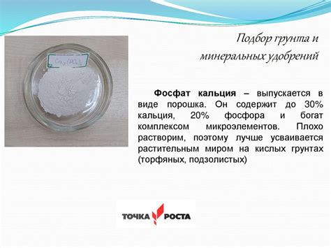 Агрохимия: влияние минеральных удобрений на рост и развитие культуры ...