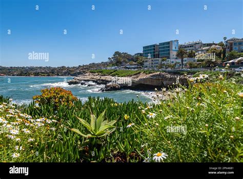 Coastline Of La Jolla Stock Photo Alamy