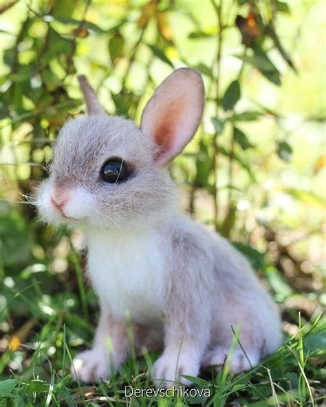 Греемся под осенним солнышком 🐰 Кролик изготовлен на заказ. Sold. # ...