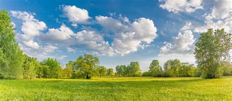 nature stock  images  backgrounds