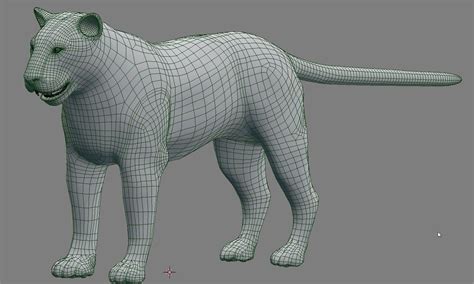 3D Model Tiger Panther VR AR Low Poly CGTrader