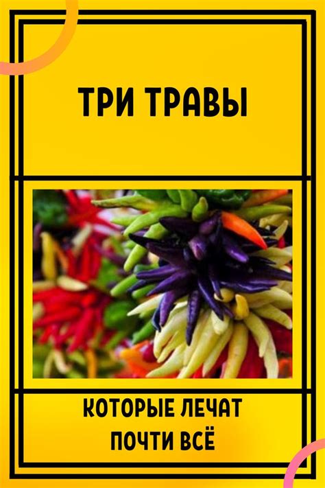 Три травы, которые лечат почти всё… | Recept