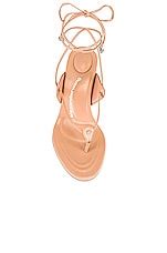 Alexander Wang Lucienne 65 Sandal In Peachy Nude REVOLVE