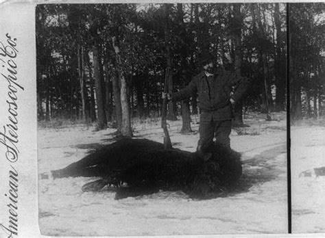 Haunting Images From Americas 19th Century Bison Extermination