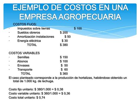 Costos De Producci N Ppt