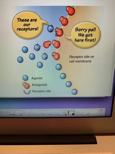 Pharmacology Unit 1 Exam Flashcards Quizlet