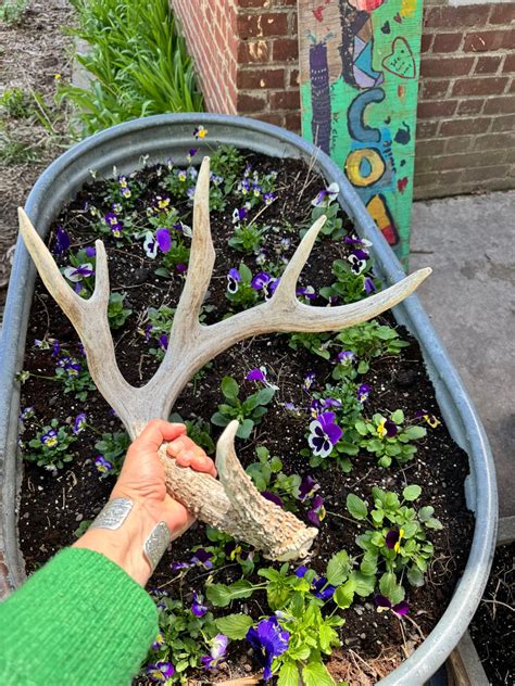 Deep Roots Community Farm | La Crosse WI