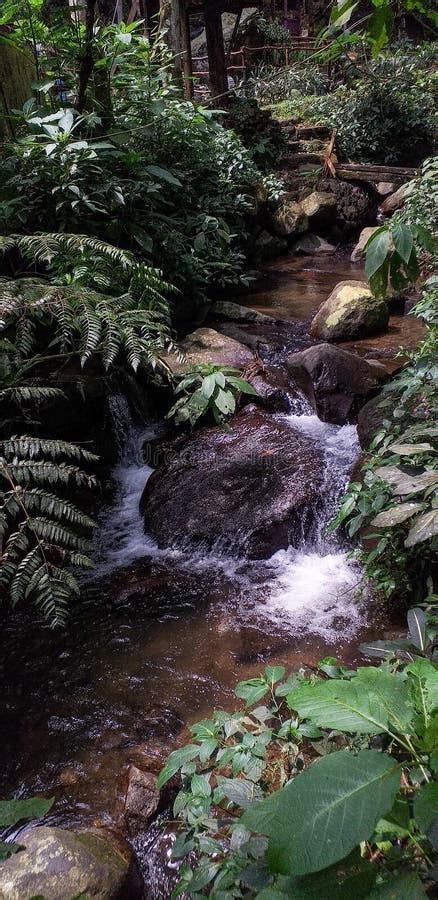 The Watercourse Of The River From Mountain Stock Photo Image Of Route