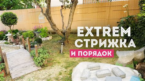 ⭐ЭКСТРЕМАЛЬНАЯ СТРИЖКА кустарников и деревьев I ЧИСТОТА на участке ...