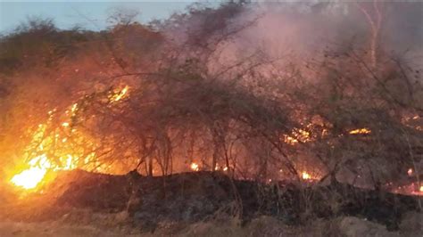 Incendios En Bolivia Decretan El «desastre Nacional Y Piden Ayuda