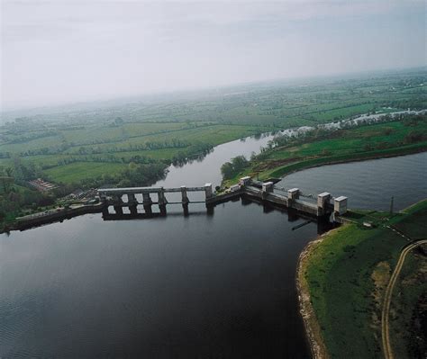 Ecofact Salmon Of The River Shannon